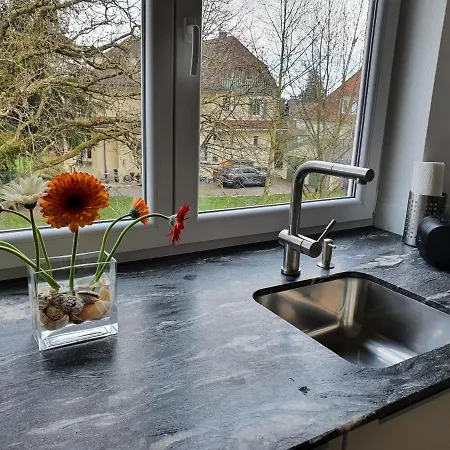 Apartament See- Und Altstadtnahe Designerwohnung